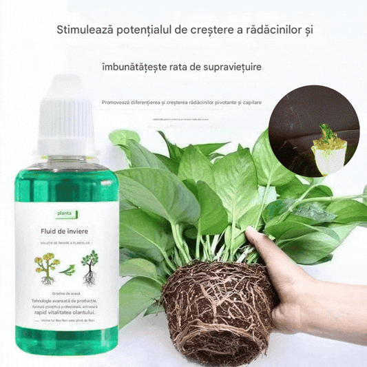 Roztwór odżywczy, który wspomaga wzrost roślin